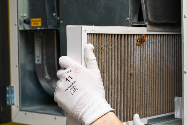 Best Air Duct Cleaning Company Near Me  in Drexel Heights, AZ