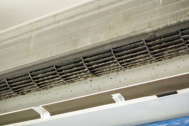 Best Air Vent Cleaning Services  in Drexel Heights, AZ
