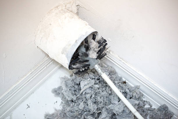 Best HVAC Maintenance and Cleaning  in Drexel Heights, AZ